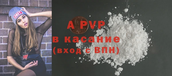 индика Беломорск