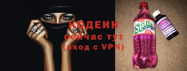 индика Беломорск