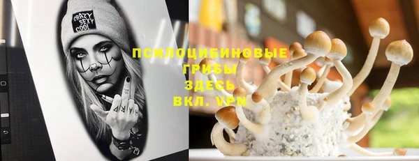 первитин Балахна