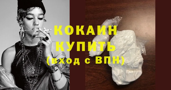 индика Беломорск